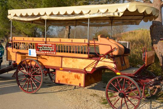 Les Calèches de Camargue