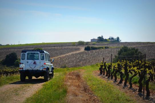 Illustration de Vigno’Vins